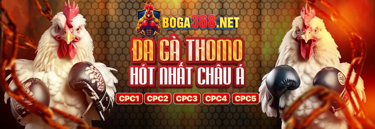 Hình ảnh nền bj72 đá gà thể hiện sự truy cập an toàn và các trò chơi hấp dẫn